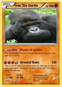 Ivan The Gorill