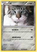 cat