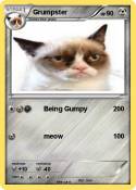 Grumpster