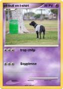 pit-bull en