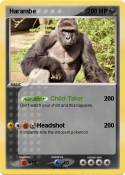 Harambe