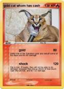 gold cat whom