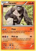 Harambe