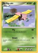 Fly Pig