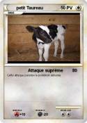 petit Taureau