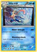 Gray ninja