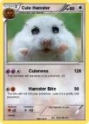 Cute Hamster