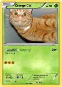 Orange Cat
