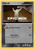ninja cat