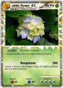 white flower EX