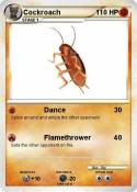 Cockroach