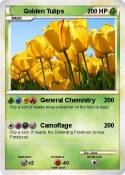 Golden Tulips