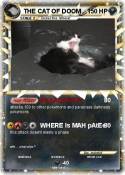THE CAT OF DOOM