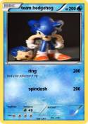 team hedgehog