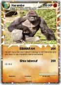 Harambe