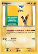 Pedigree