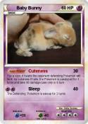 Baby Bunny