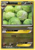 cabbage