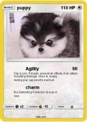 puppy