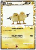 Ducks