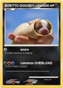 BORITTO DOGGEIY