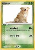 cute dog