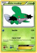 alola mudkip