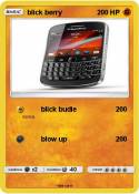 blick berry