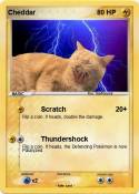 Cheddar