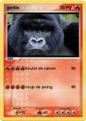 gorille