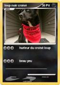 loup noir crois
