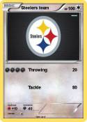 Steelers team