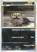 kitty