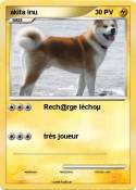 akita inu