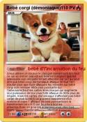 Bébé corgi (démon