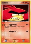 red bird