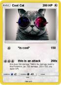 Cool Cat