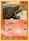 turtle
