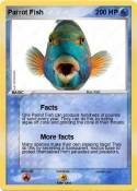 Parrot Fish