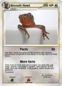 Smooth Newt