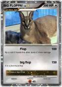 BIG FLOPPA!
