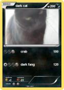 dark cat