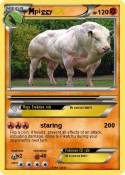 piggy
