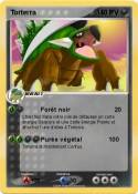 Torterra