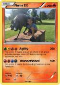 Flame EX