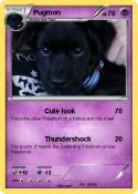 Pugmon