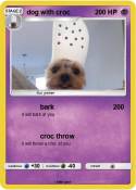 dog with croc