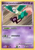 partrial transf