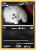 chat