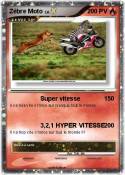 Zèbre Moto